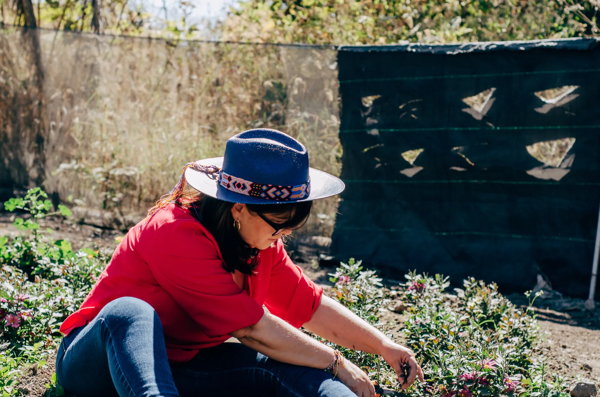 ***El arte de*** comer flores