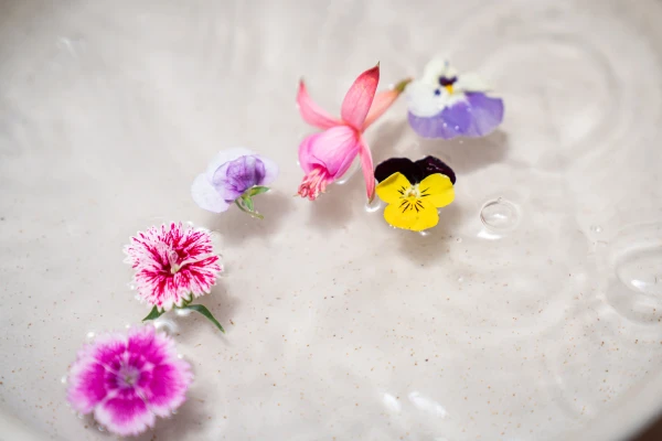 Cultivadas con aguas limpias